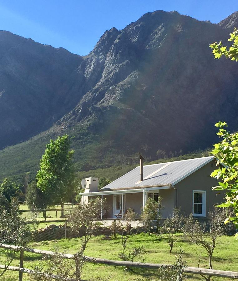 Olive Cottage Franschhoek Extérieur photo